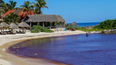 Aeroméxico y Volaris suspenden vuelos a Tulum