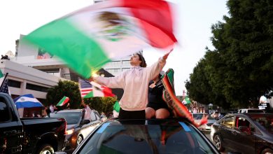 American Society alerta por reforma sobre doble nacionalidad