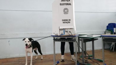 Cierran los colegios electorales en Brasil y empieza el recuento de votos