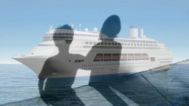 Detenidos en EE.UU. más de 120 tripulantes de cruceros por material de abuso sexual infantil