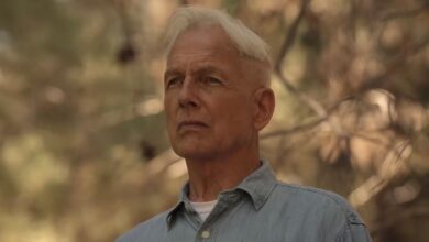 El futuro de la precuela de NCIS más allá de la temporada 3 se aclara después del sorprendente comentario de Jethro Gibbs
