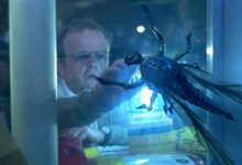 El próximo remake de Stephen King de Mike Flanagan se apoyará en el "terror lovecraftiano" del clásico de 46 años