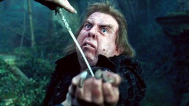 El remake de Harry Potter de HBO le dio a una estrella el mejor momento de carrera de círculo completo