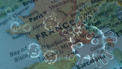 Francia reporta primer caso de virus shamonda en humanos