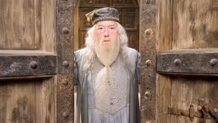 harry-potter-y-la-orden-del-fenix_7f191b7d (1)