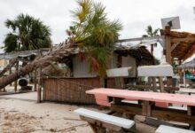 Isaías deja al menos cuatro muertos en Estados Unidos