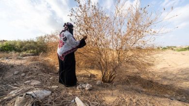 ONG 'Plan International' alerta del impacto de la crisis climática en los derechos de las niñas